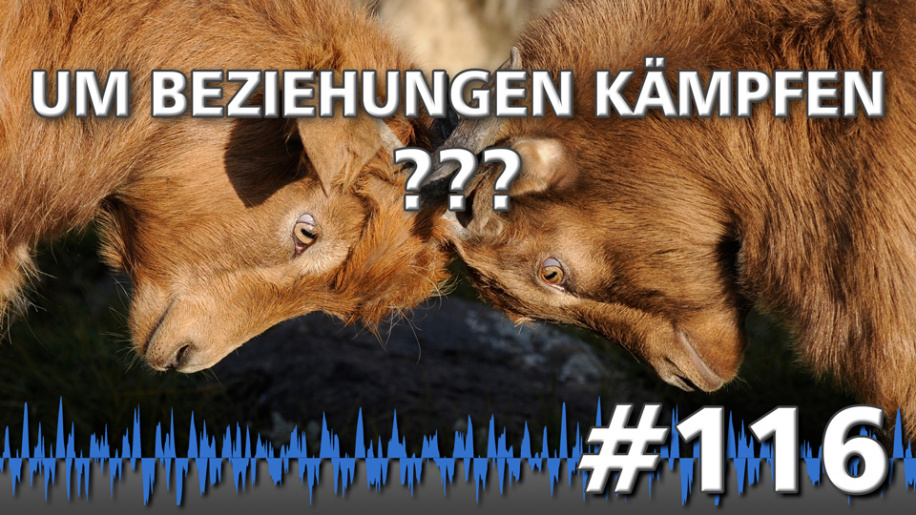 Um Beziehungen kämpfen | Pro Performance Podcast mit Harald Dobmayer